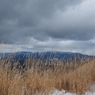 P2123601