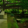 wabisabi