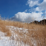 P2123625