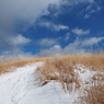 P2123631