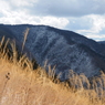 P2123639
