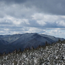 P2123640