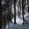 P2123650
