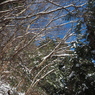 P2123652