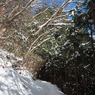 P2123653