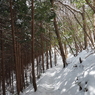P2123654