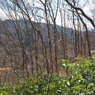 P2123675
