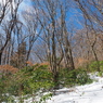 P2123678
