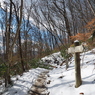 P2123680