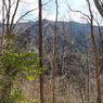 P2123681