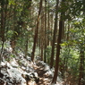 P2123696