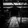 北越物語　行けるかい