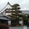 大覚寺: 入り口