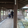 大覚寺: 廊下