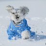 雪遊び⑤