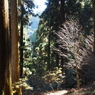 P2193722