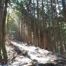 P2193741