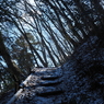P2193742