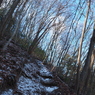 P2193748