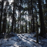 P2193762