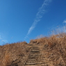 P2193767