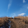 P2193768