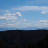P2193785