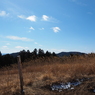 P2193786