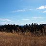 P2193793