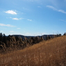 P2193794