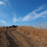 P2193795