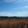 P2193797