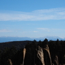 P2193852