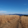 P2193855
