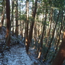 P2193862