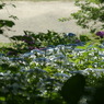 DSC07989