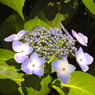 R0012572