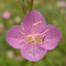 R0012390