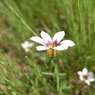 R1123005