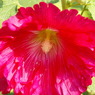 DSC07708