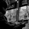 Street Photography