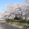 R0011794