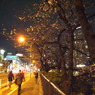 R0011324