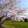 R0011728