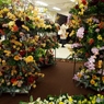 花の展覧会2