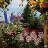 花の展覧会7