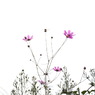 R0010819