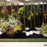 花の展覧会11