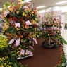 花の展覧会12