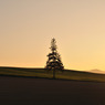 夕景